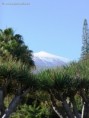 /album/fotogalerie-volny-cas/tenerife-02-jpg/